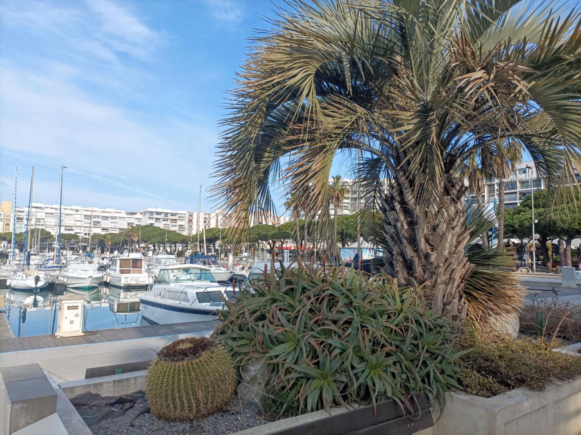 Studio Port De Plaisance Mauguio Dış mekan fotoğraf